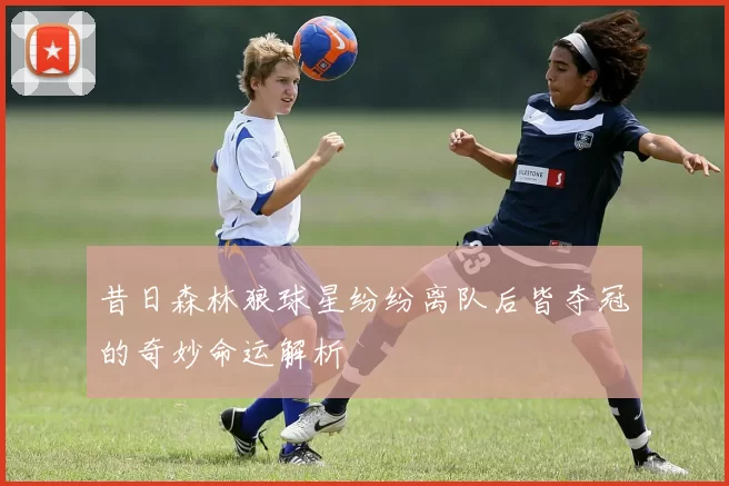 昔日森林狼球星纷纷离队后皆夺冠的奇妙命运解析